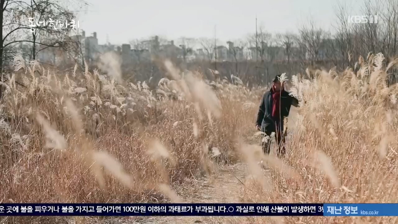 동네 한 바퀴.E258.240218p.H264-F1RST.mp4_20240218_175538.454.jpg