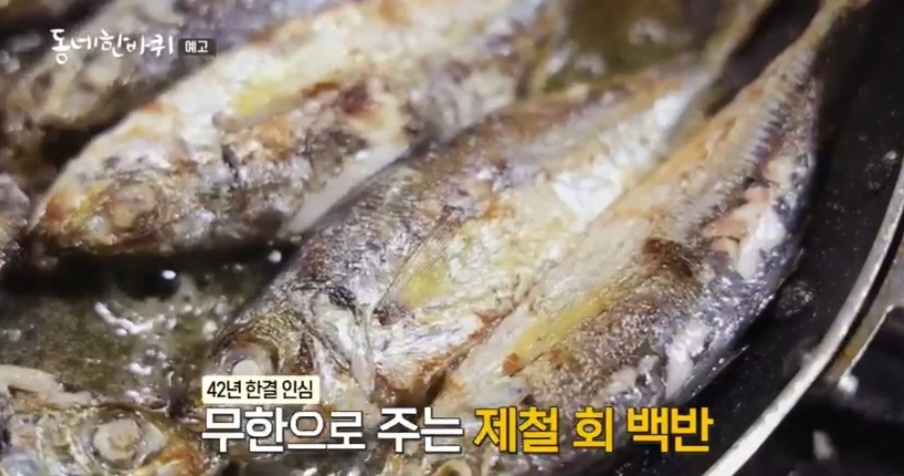 동네한바퀴 경남 고성 제철 회백반 맛집 정보