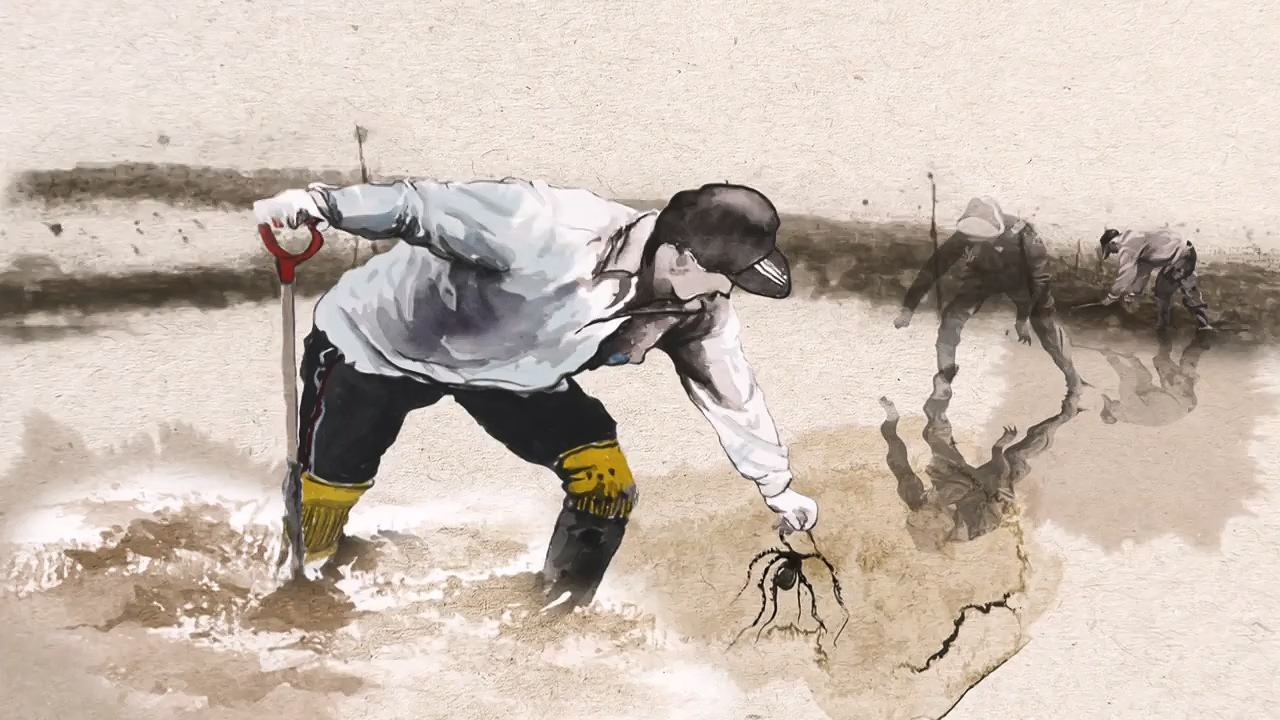 MBC 네트워크 특선 푸른백세 어영차 바다야.E1684.240610p-NEXT.mp4_20240611_203110.860.jpg