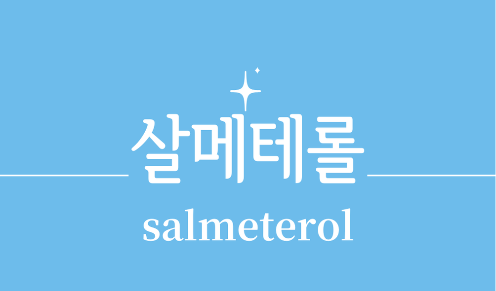 '살메테롤(salmeterol)'