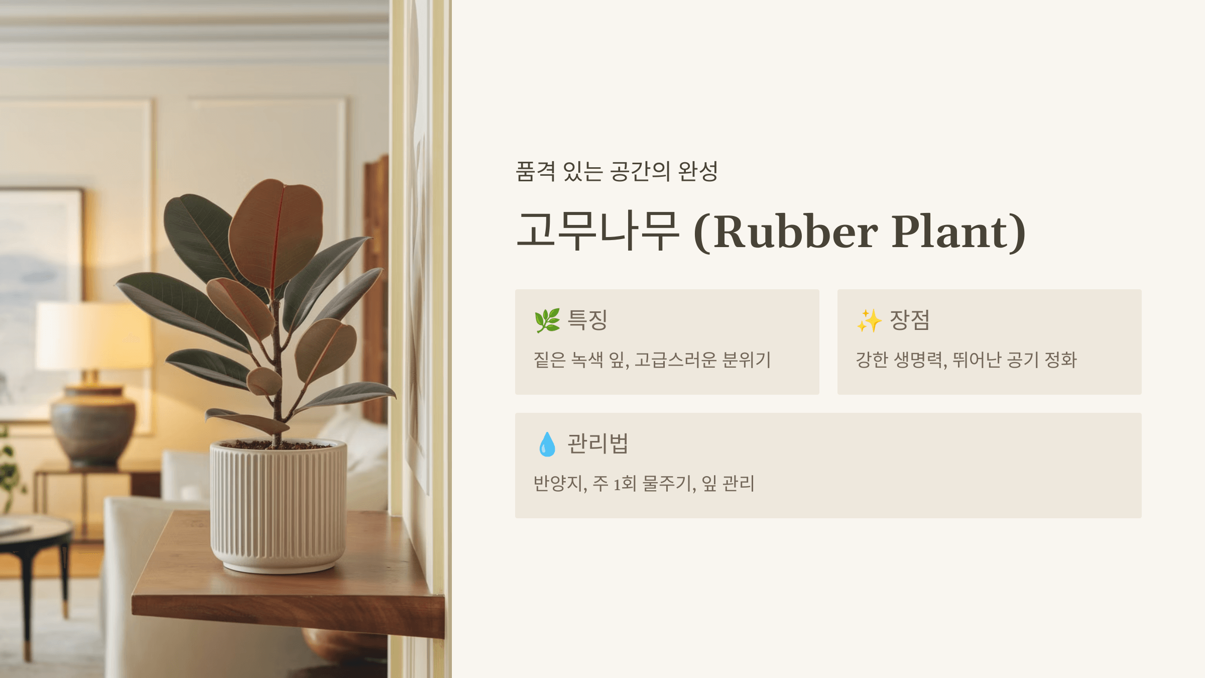 고무나무 (Rubber Plant)