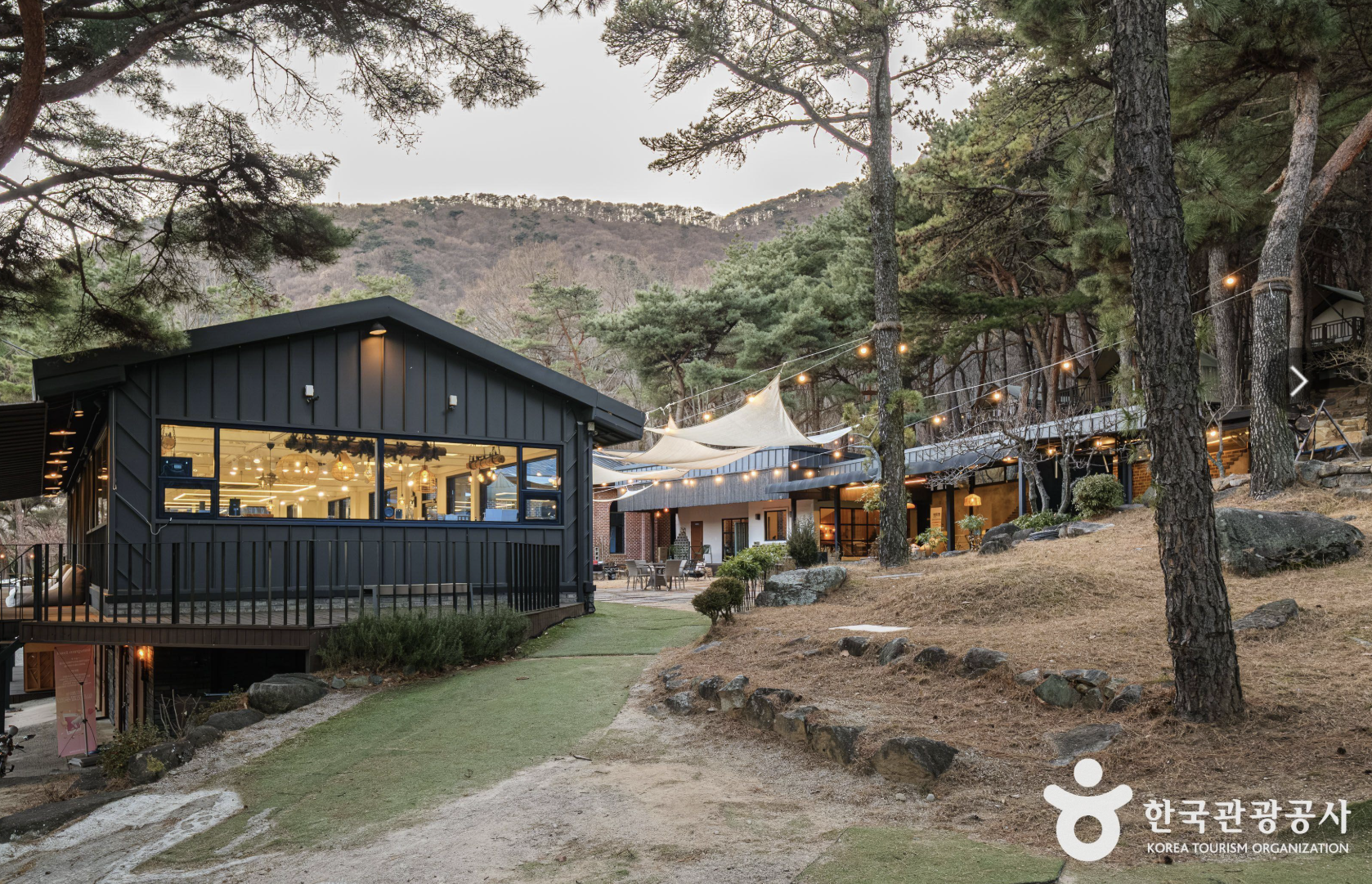 양산 카페백동 숲속