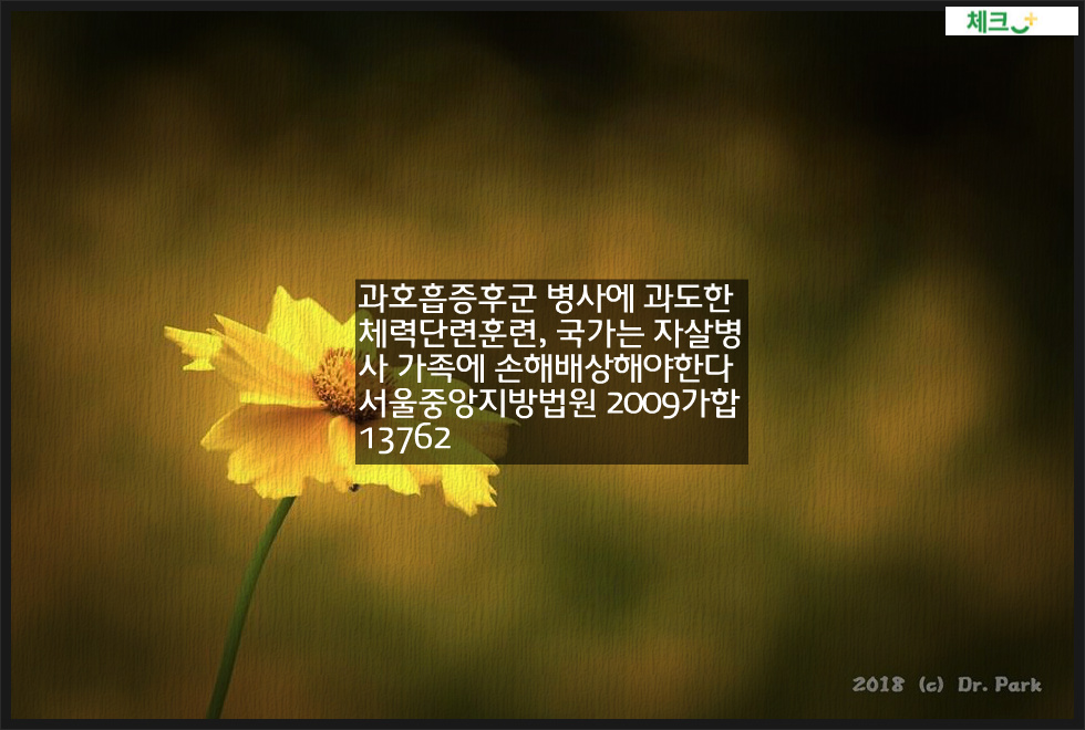 과호흡증후군 병사에 과도한 체력단련훈련&#44; 국가는 자살병사 가족에 손해배상해야한다