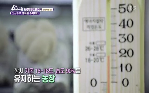 [7612회] 6시 내고향 - KBS7612회] 6시 내고향.ts_20220912_172723.287.jpg