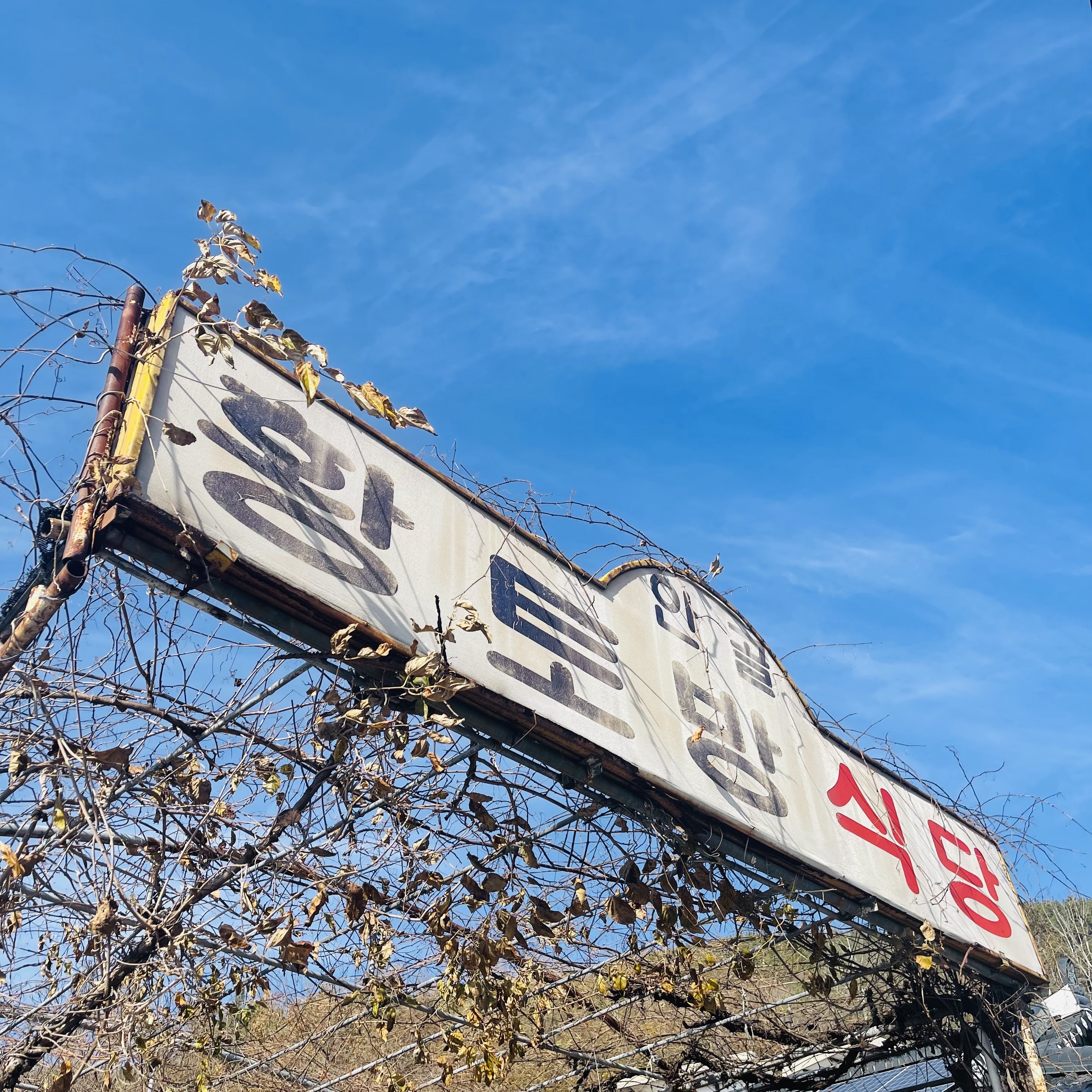 안골황토방식당 이미지