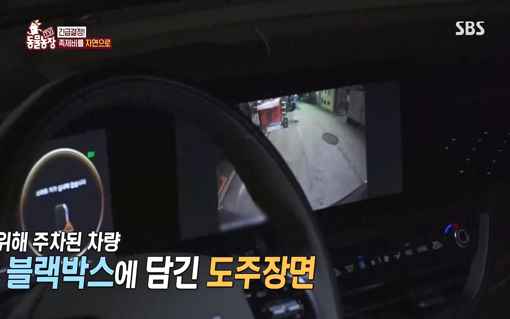 TV 동물농장.E1088.220925p.H264-F1RST.mp4_20220925_174404.197.jpg