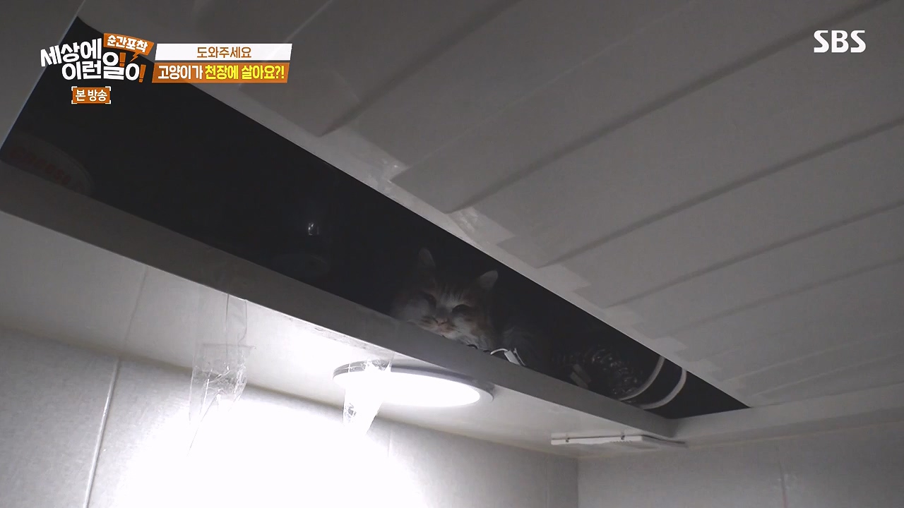 순간포착 세상에 이런일이.E1259.240107p-NEXT.mp4_20240107_163617.154.jpg