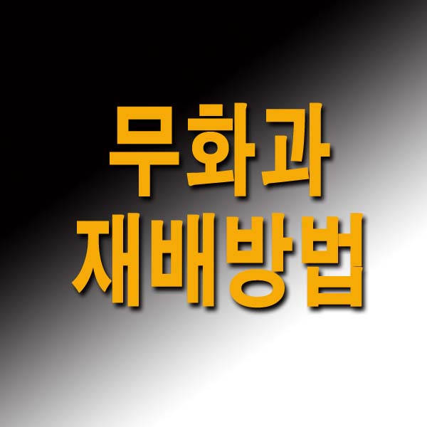  무화과 재배방법 7가지