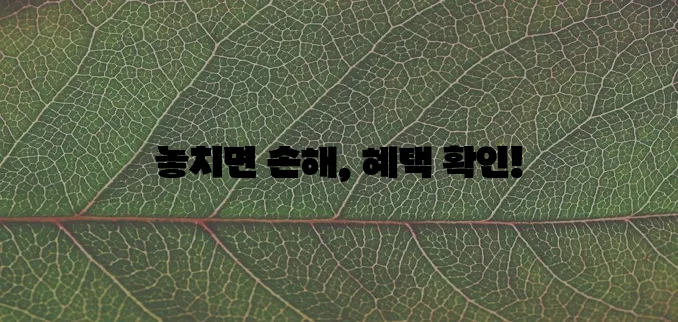 보청기 보조금 신청 꼭 받으세요!