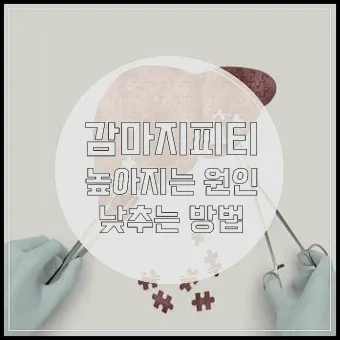 감마지피티 높으면 수치 정상화_13