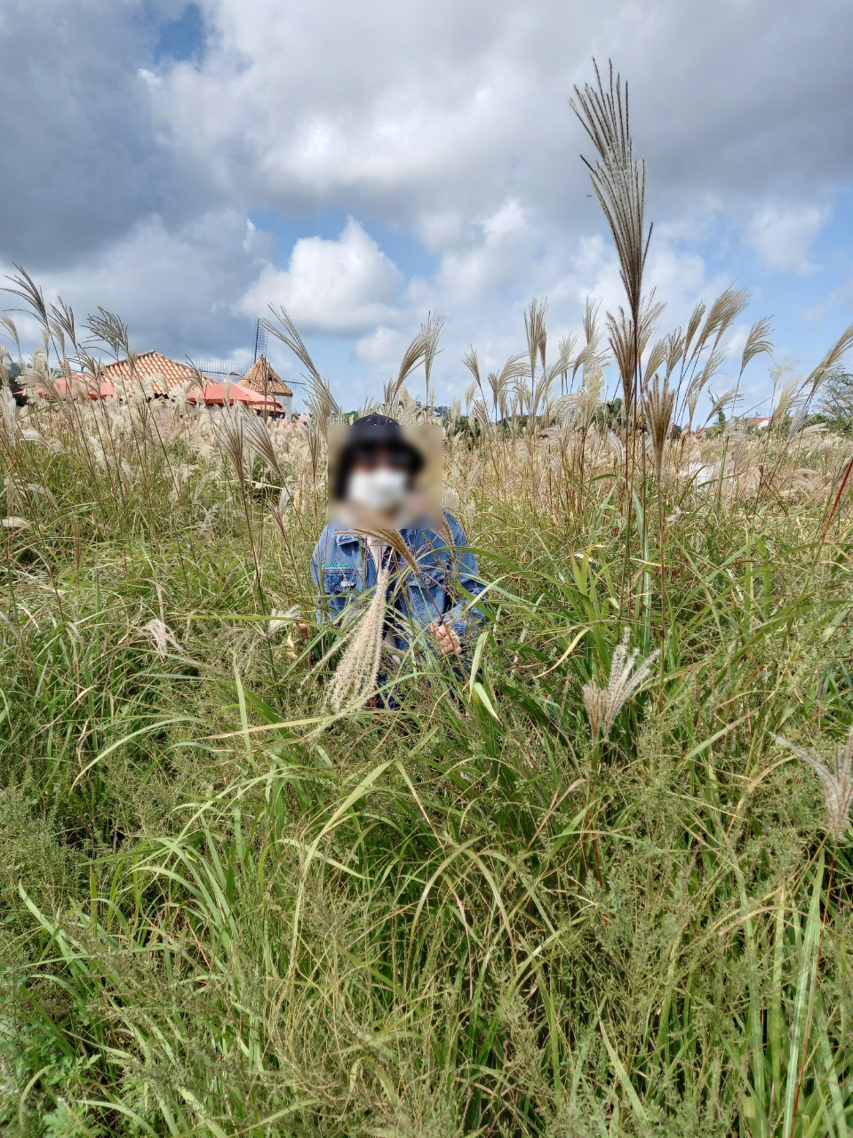 가족여행 저렴하게 대절 굿 제주도 승합차 투어 24