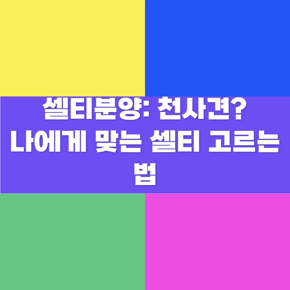 썸네일 이미지