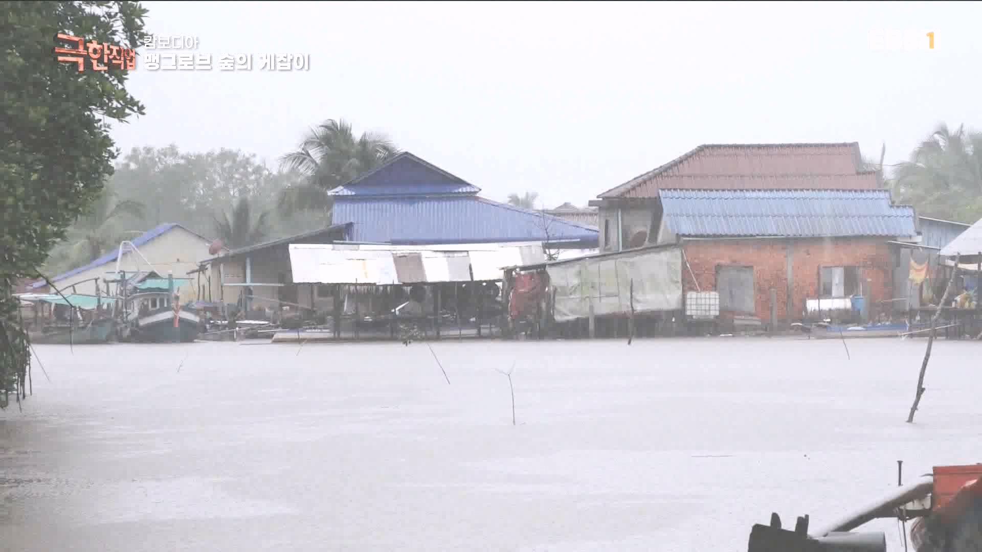 물뱀 사냥과 맹르로브숲의 게잡이 231021.mp4_20231025_211956.310.jpg