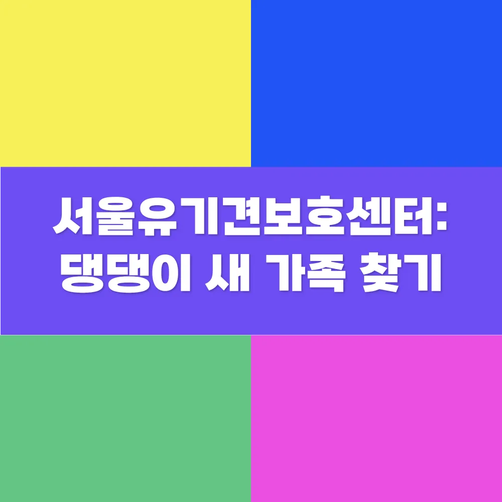 썸네일 이미지