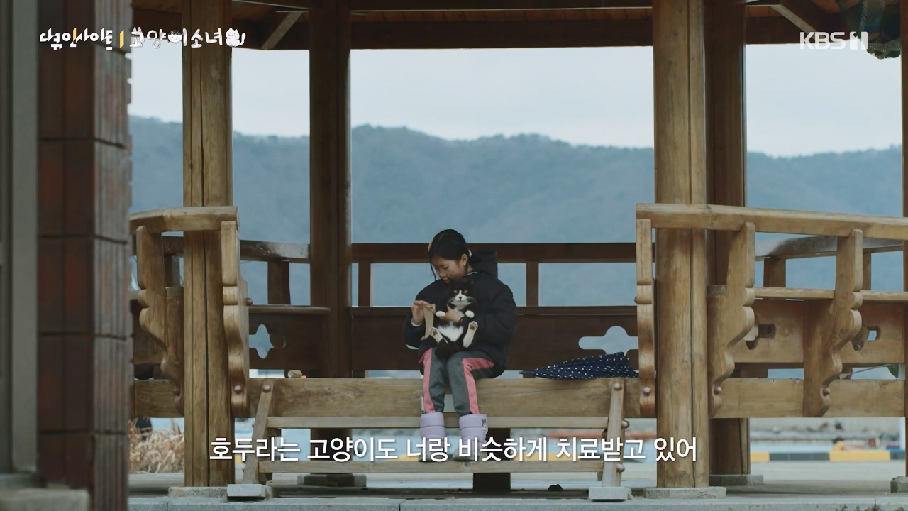 다큐 인사이트.E189.240524p-NEXT.mp4_20240524_205107.308.jpg