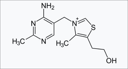 티아민(비타민B1)