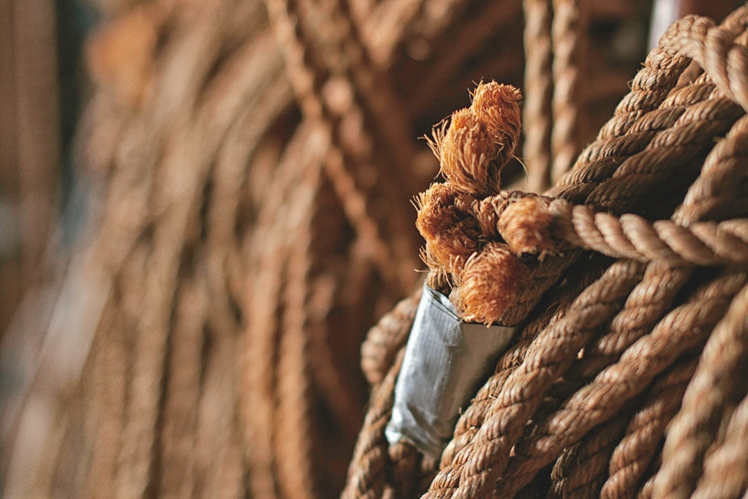 Knot