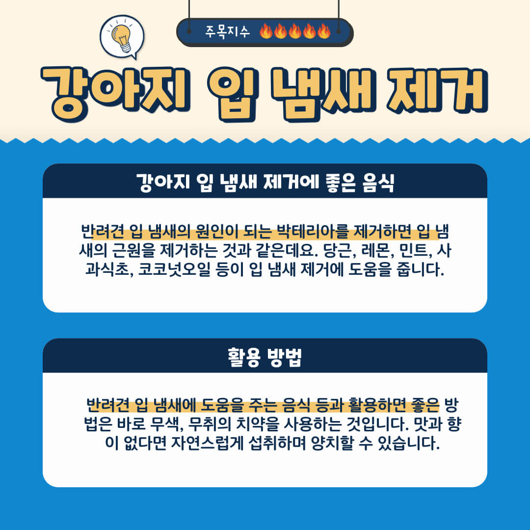 반려견 입 냄새 제거에 도움을 주는 음식 리스트