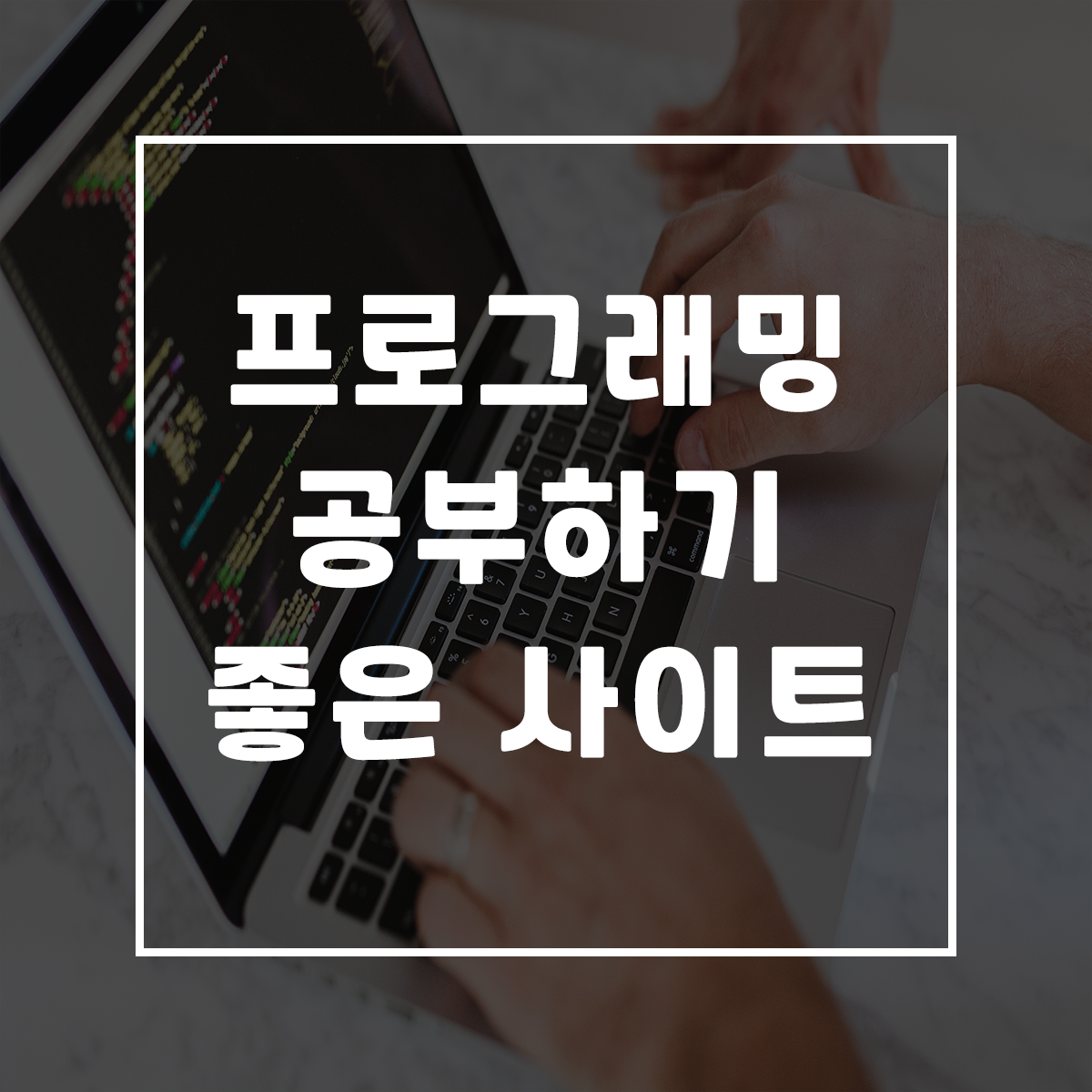  프로그래밍/코딩 공부하기 좋은 사이트