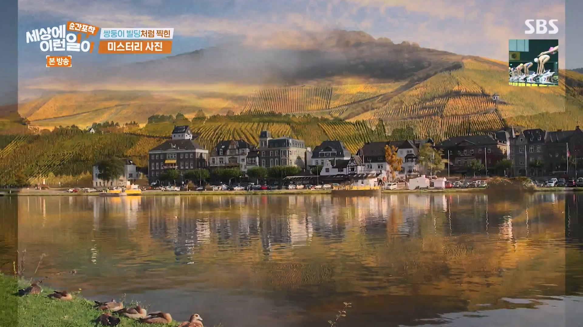 순간포착 세상에 이런일이.E1263.240203p-NEXT.mp4_20240204_162731.842.jpg