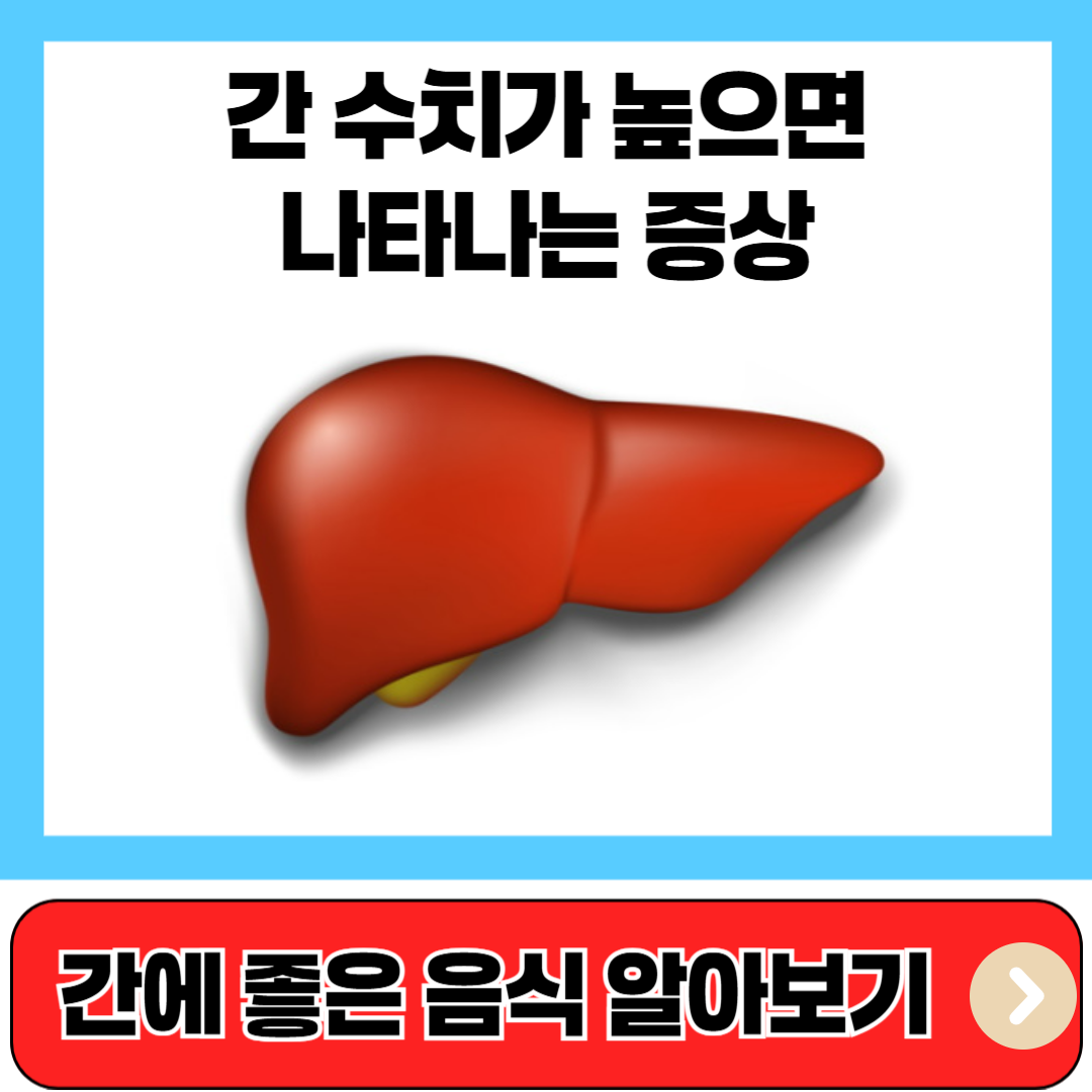 간수치가높으면나타나는증상