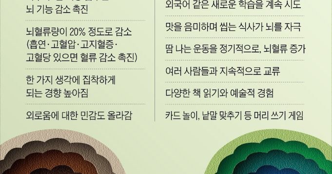  눈·코·입을 즐겁게 하라, 뇌 노화 막는 10계명