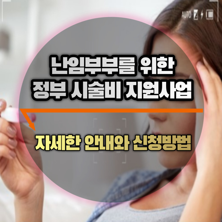 난임부부 지원사업