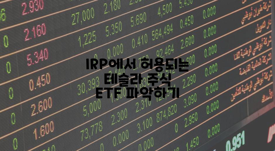 IRP에서 허용되는 테슬라 주식 ETF 파악하기