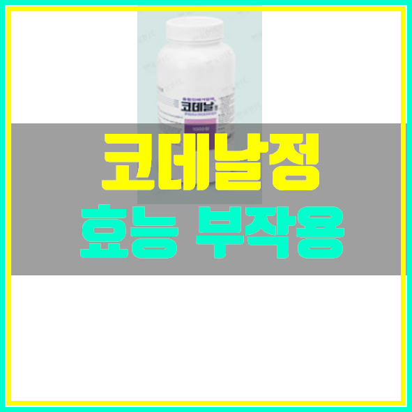  코데날정 효능 부작용