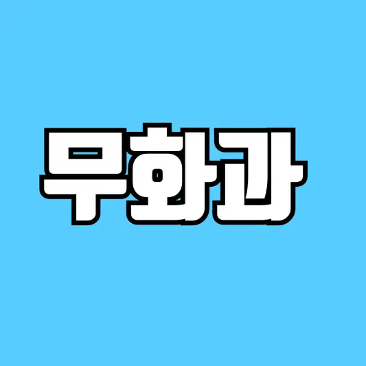 무화과-철-효능-부작용-세척-총정리-썸네일