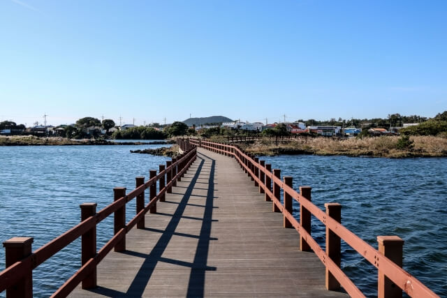 제주올레2코스
