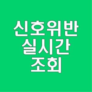신호위반-실시간-조회