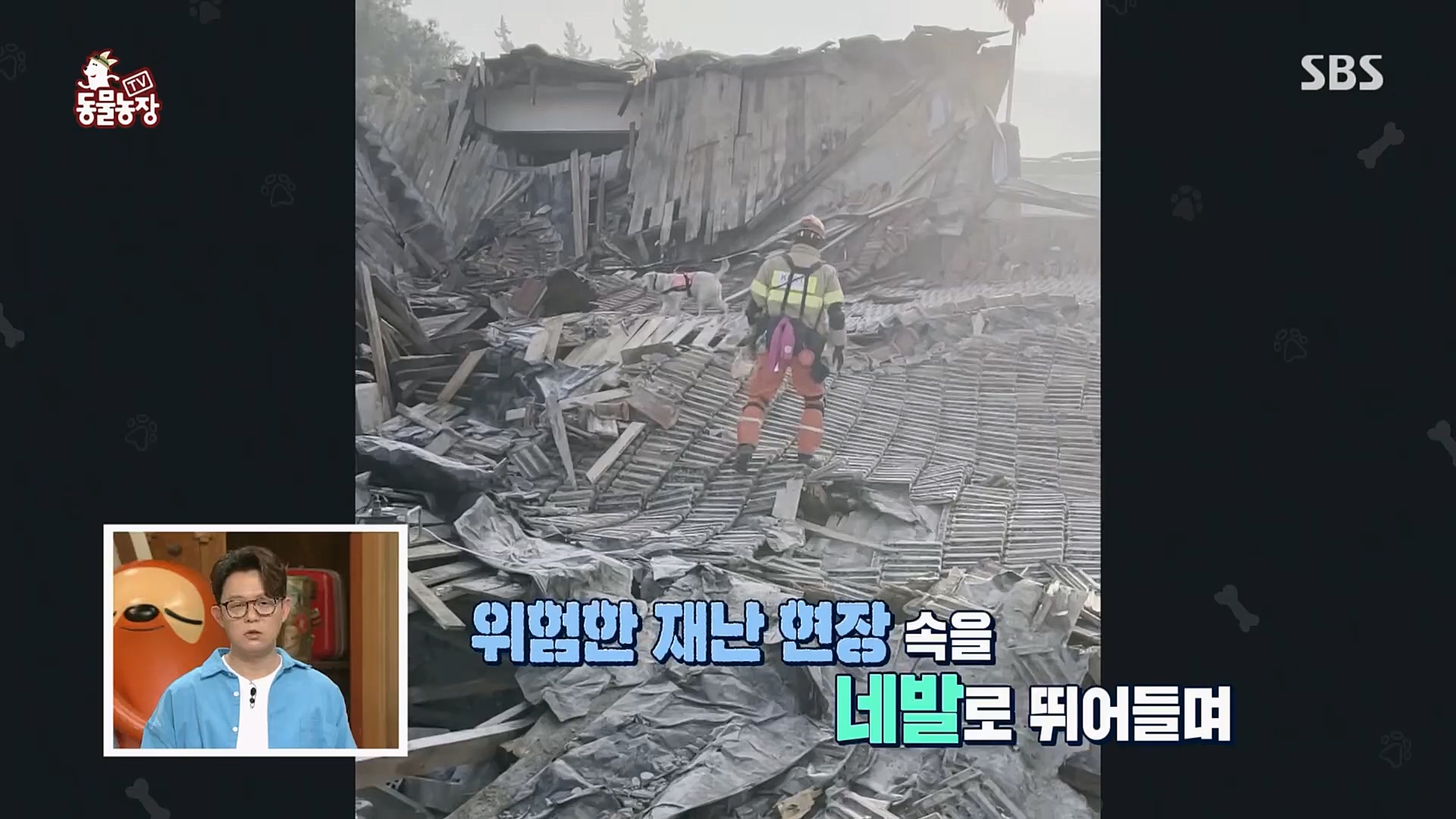 TV 동물농장.E1109.230226p.H264-F1RST.mp4_20230226_161908.777.jpg