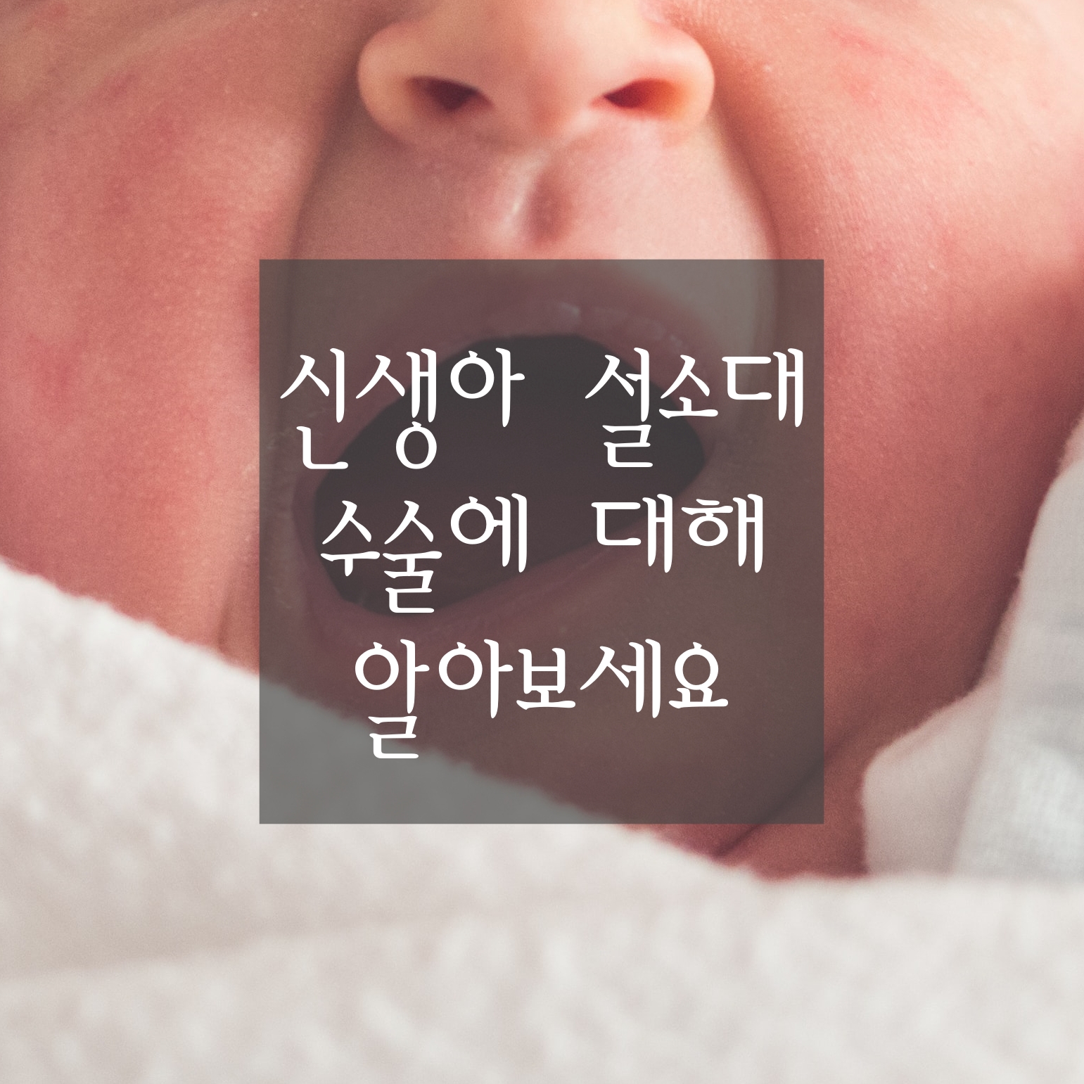  [설소대 수술] 설소대 수술과 실비 보험 청구에 대해 알아봅니다. (수술 비용, 수술 코드, 신생아 설소대 수술 팁, 수술 진단금 등)