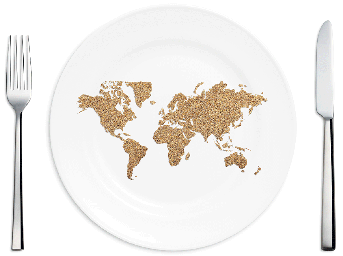 global food shortage