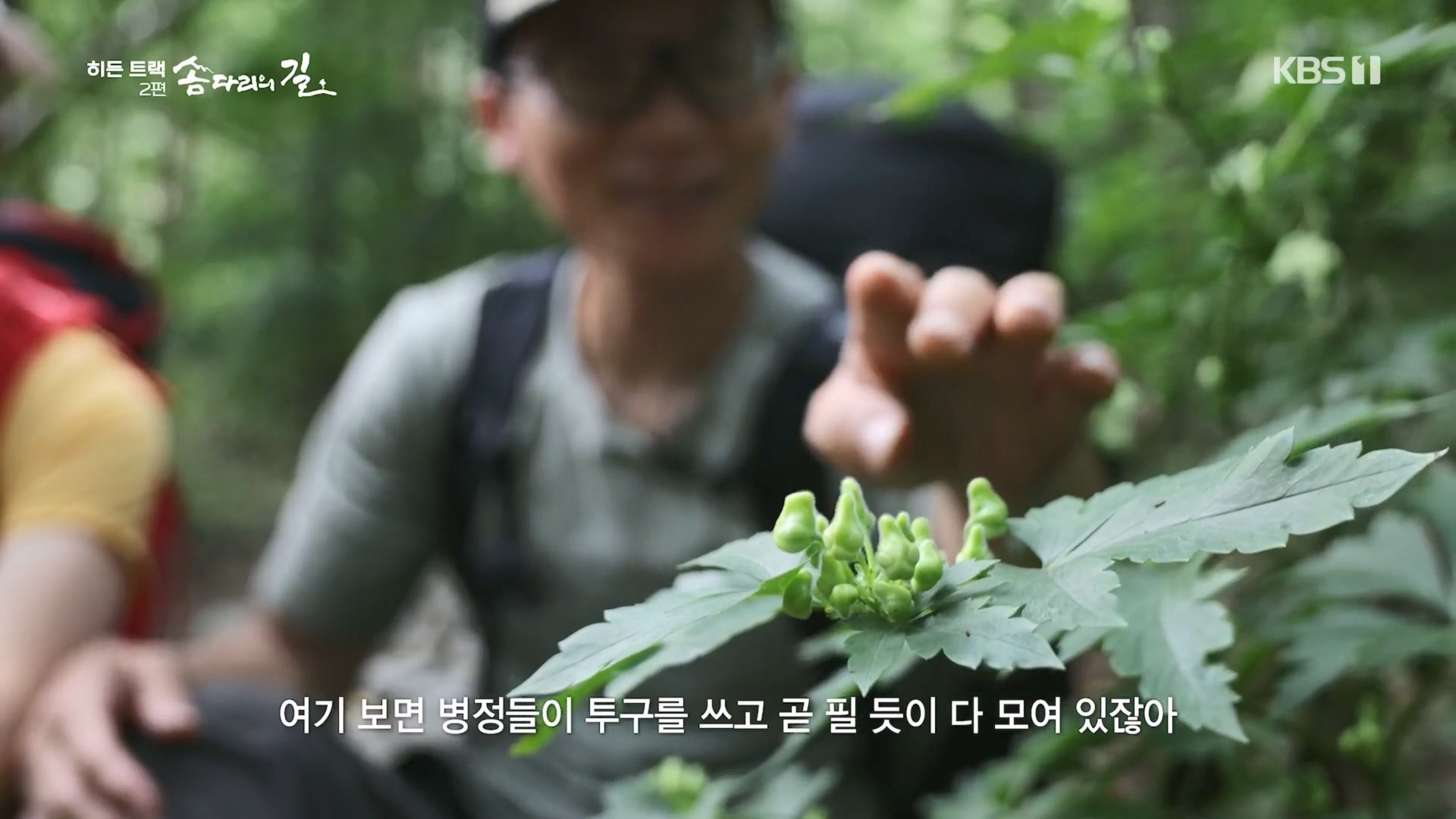 다큐 인사이트.E02.231215p.H264-F1RST.mp4_20231216_183139.833.jpg