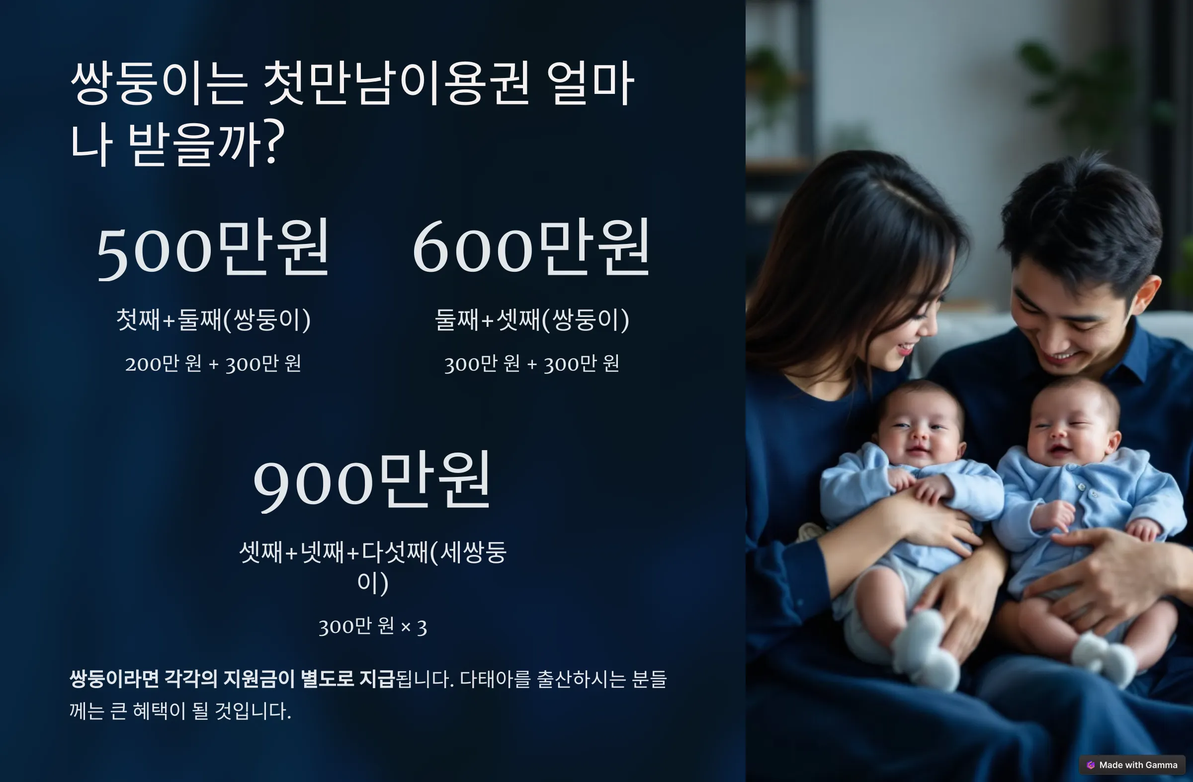 쌍둥이 첫만남이용권