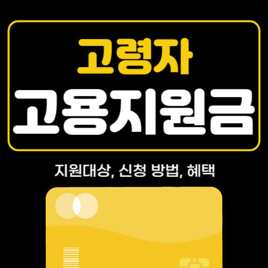 고령자 고용지원금