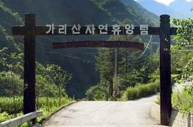 가리산 자연휴양림 홍천 여행 가볼만한곳