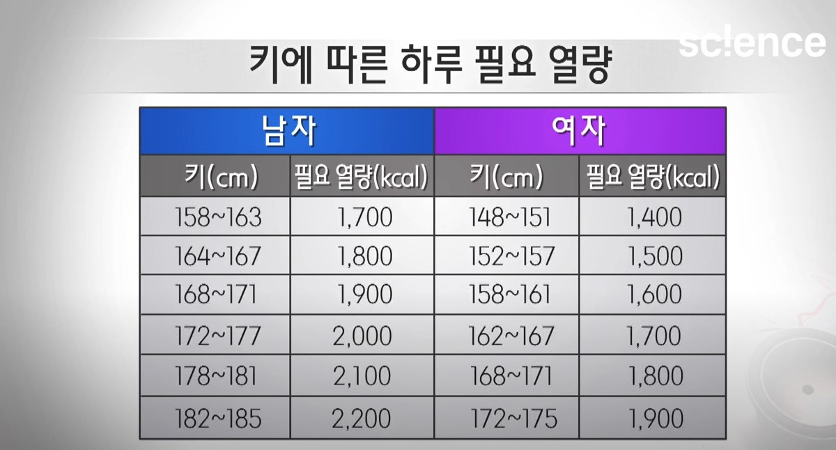 필요한 열량