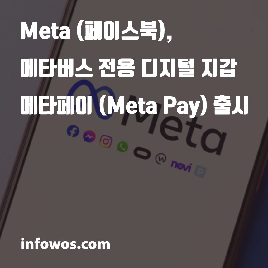  Meta (페이스북), 메타버스 전용 디지털 지갑 메타페이 (Meta Pay) 출시