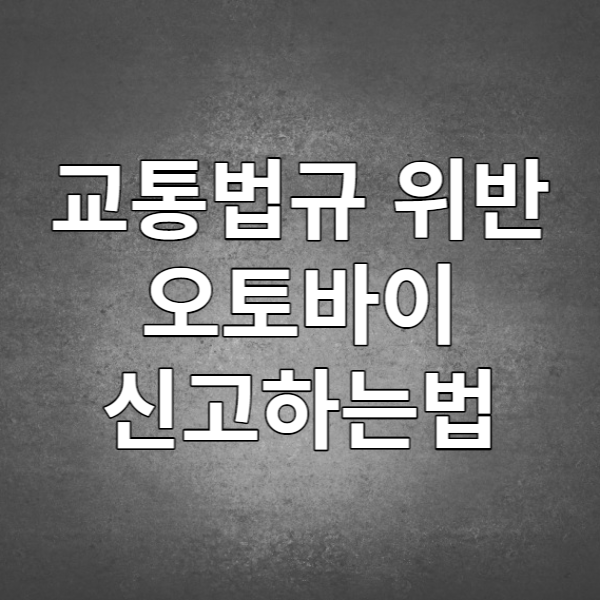  배달 오토바이 신고하는 법 - 신호 위반, 역주행, 번호판 가린 오토바이 참교육