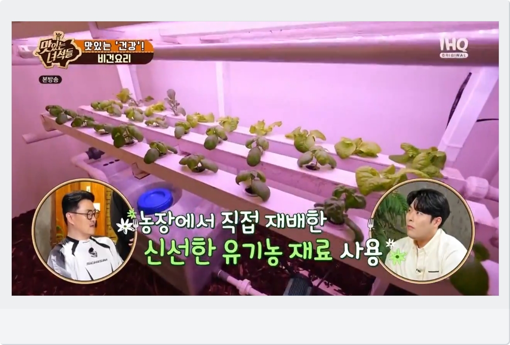 신선한 유기농 재료