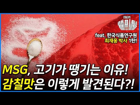 맛의 이해: 음식 선호도에 숨겨진 과학 탐구 1