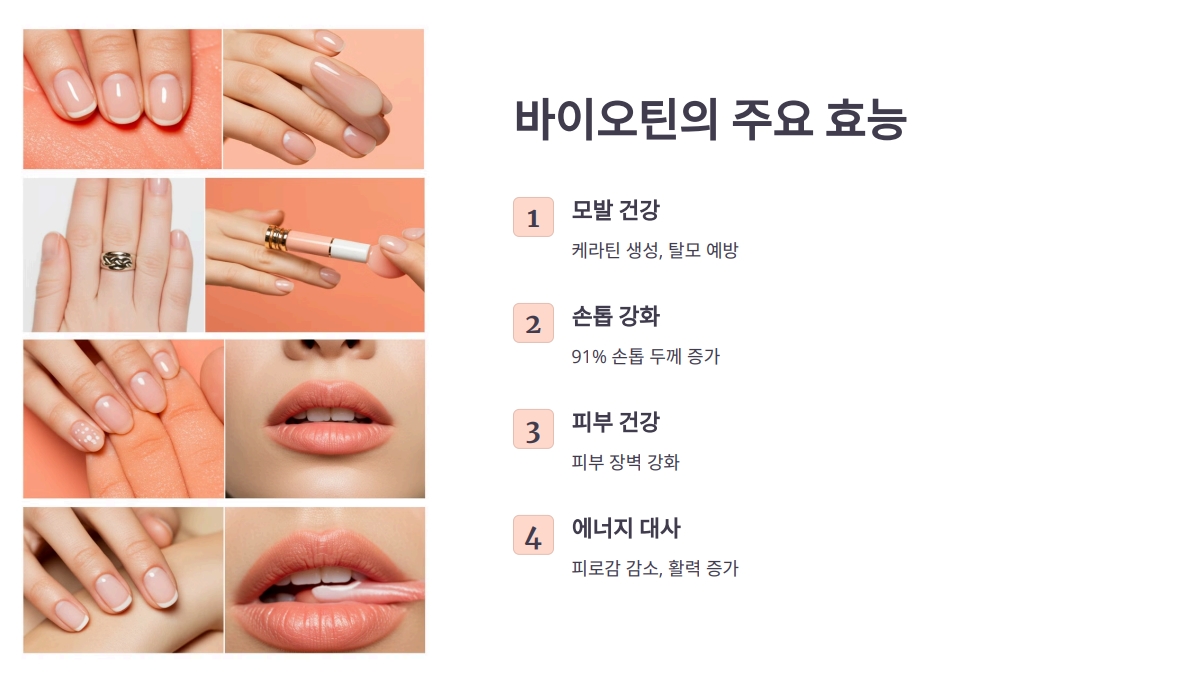 바이오틴 효능