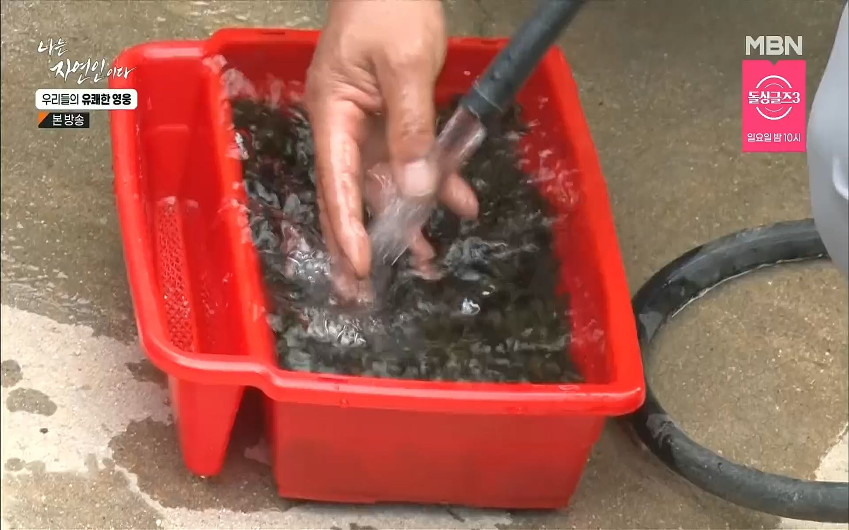 나는 자연인이다.E508.220629p.H264-F1RST.mp4_20220630_203351.916.jpg