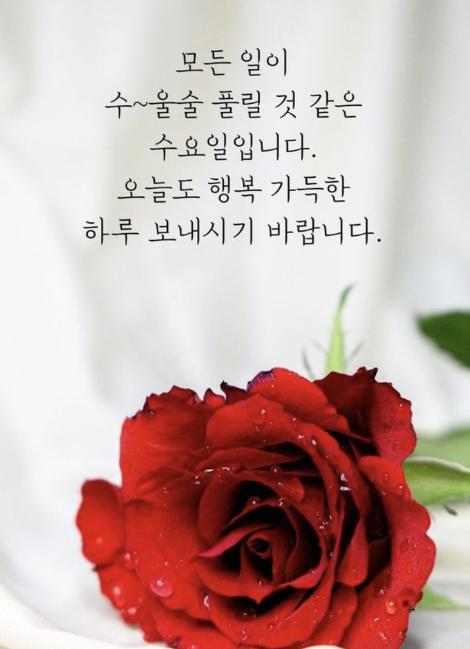 수요일 아침인사말