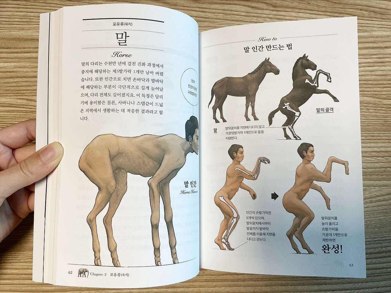 순화 이미지