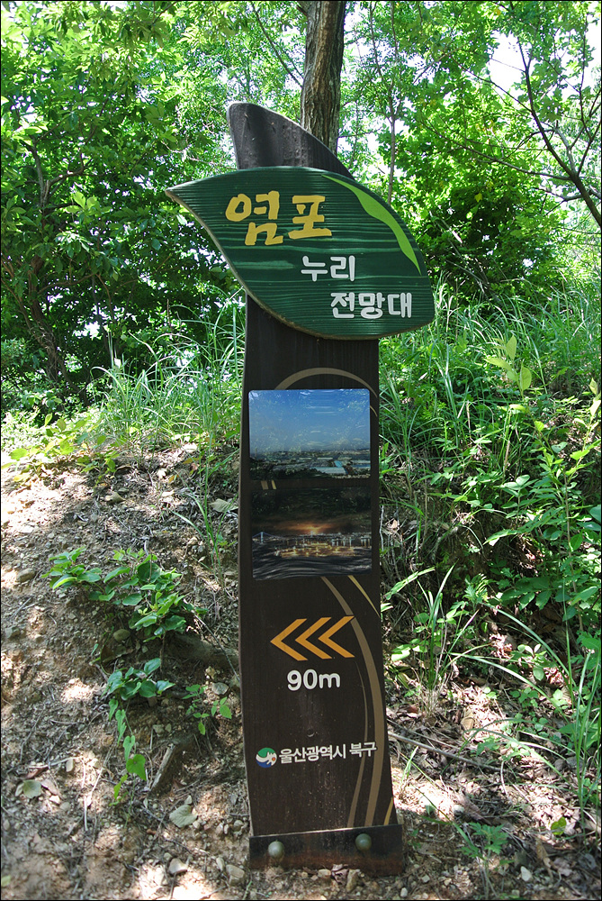 오치골 이미지