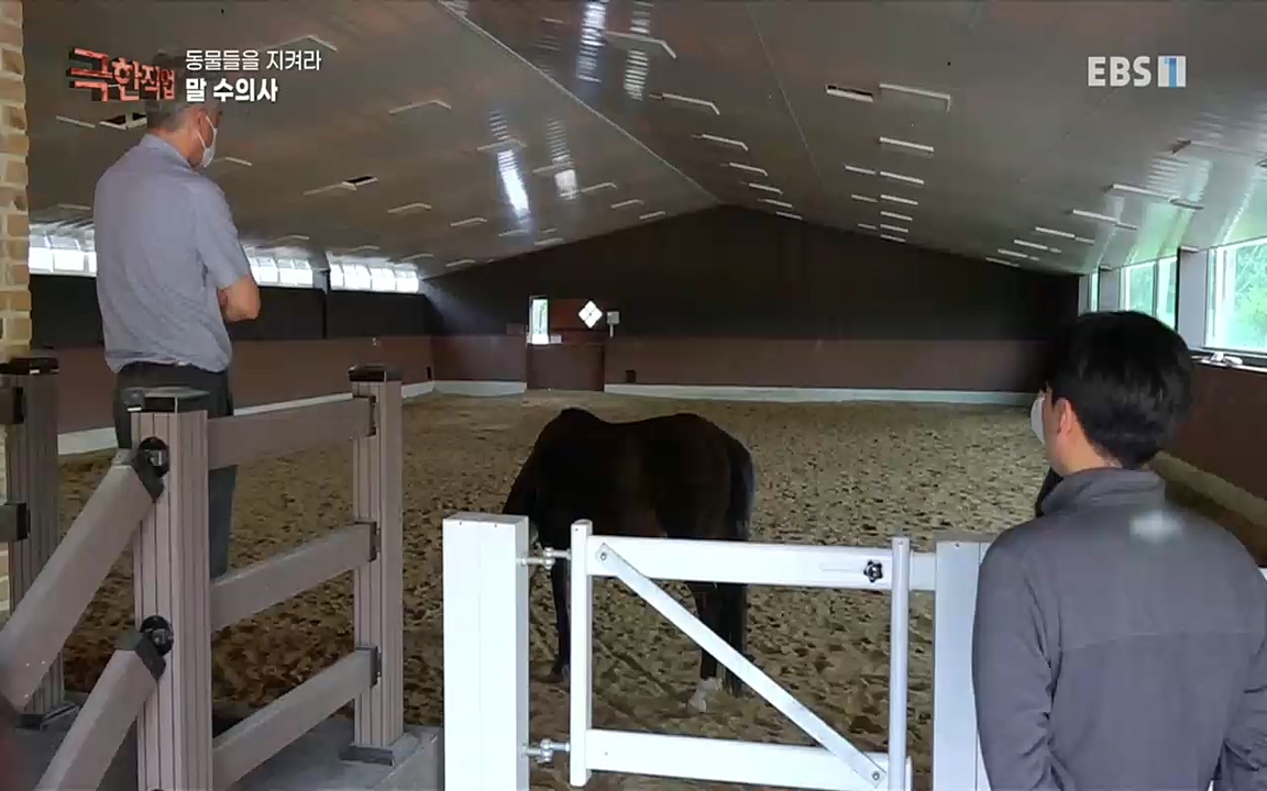 TV - 교육의 중심 EBS동물들을 지켜라, 수의사와 유기 동물 구조팀.mp4_20220913_200146.986.jpg
